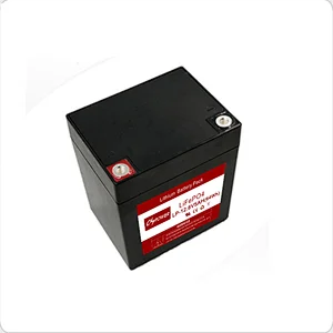 Lithium Battery 24V 50Ah LifePO4 Battery Pack for UPS