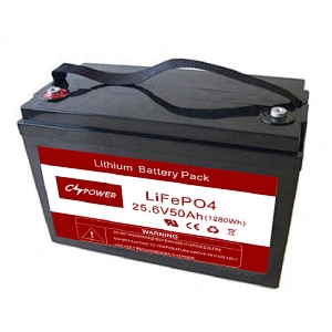 China Over 3000cycles high power lifepo4 lithium battery 12v 120ah