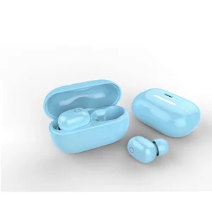 BT5.0 Wireless Earbuds