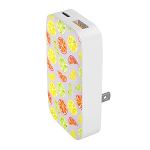 PD20W Portable Quick wall charge