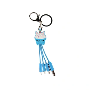 keychain cable