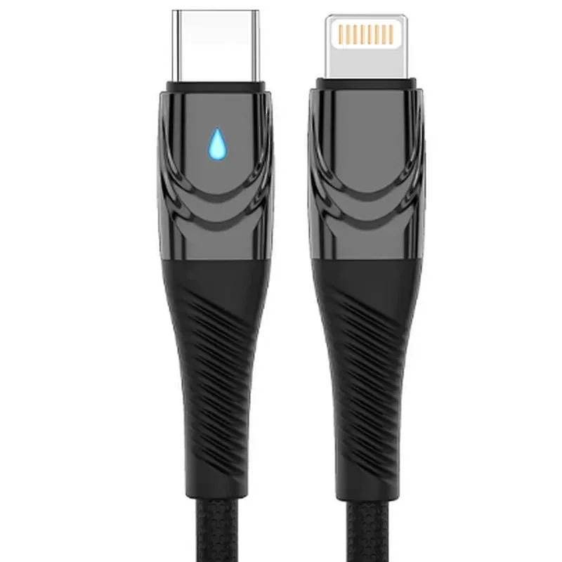 type c-lightning cable