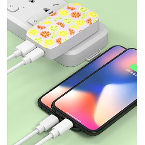 PD20W Portable Quick wall charge