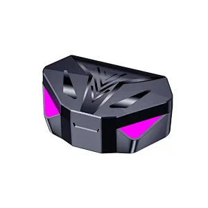TYPE-C TWS earbuds