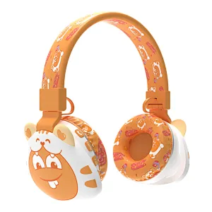 bluetooth headphone