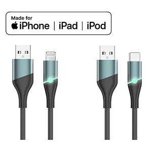 indicator c to lightning cable