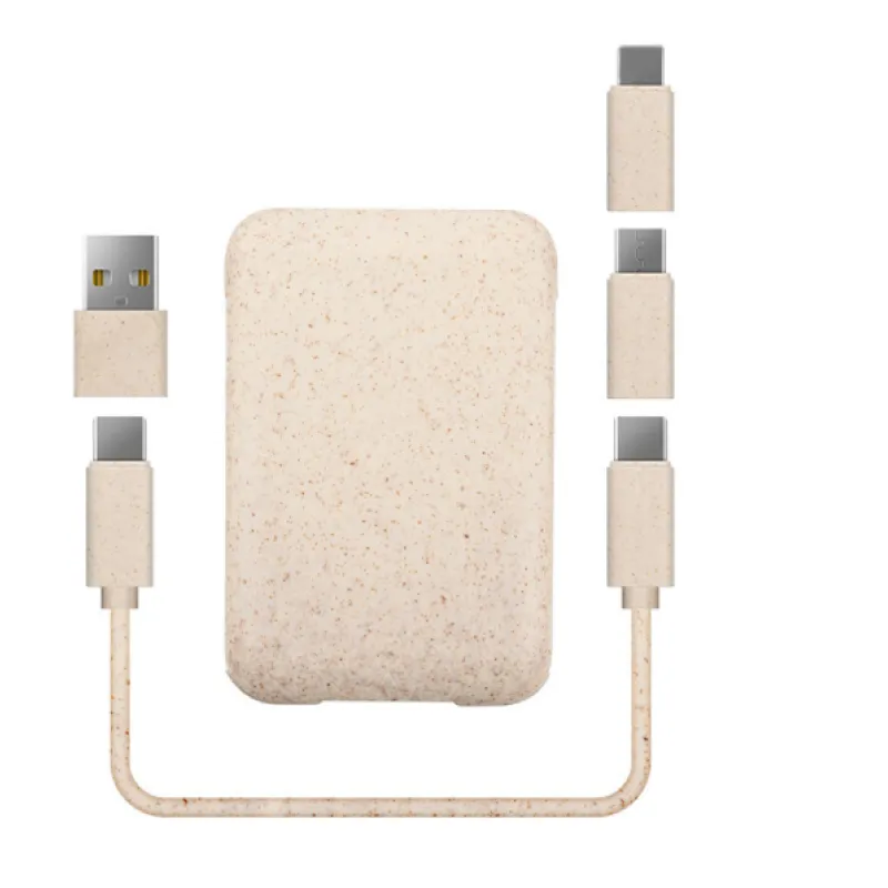 GRS Card holder Travel charging cable set