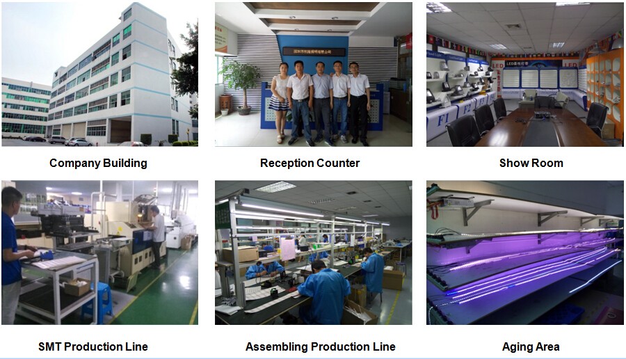 Hanron Lighting Factory Tour.jpg