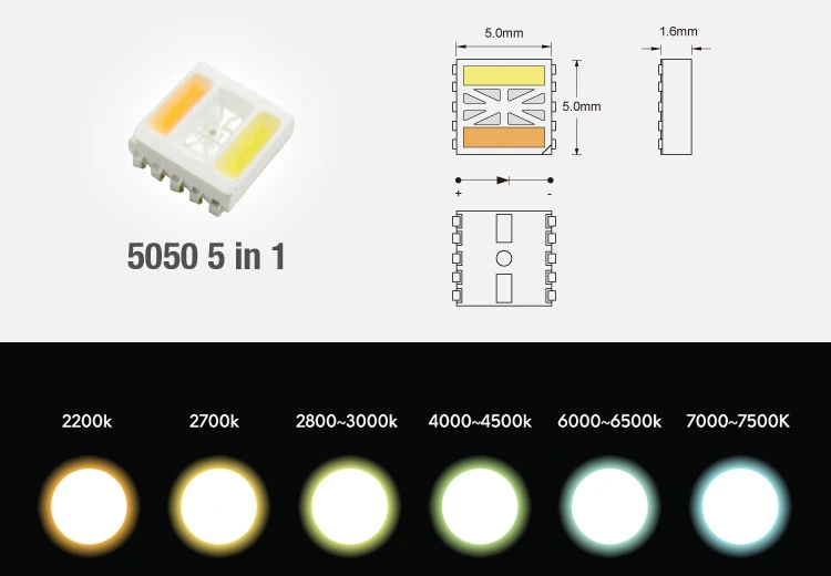 led chip dimension of 5050 5in1 led strip light