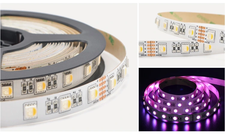 China 5050 rgbw best led rgbww strip lights manufacturer