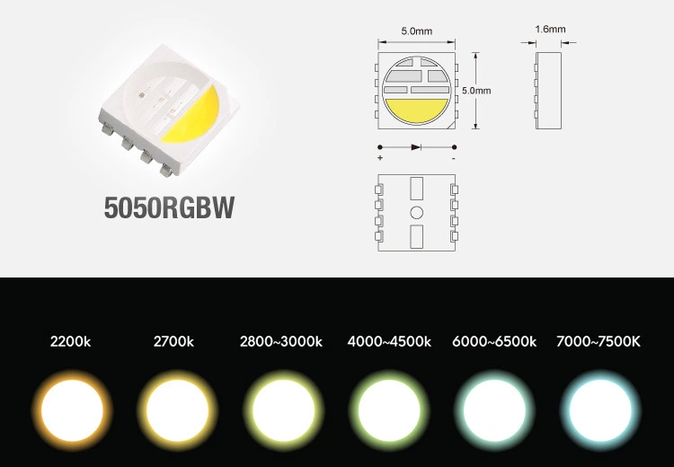 China 5050 rgbw best led rgbww strip lights manufacturer