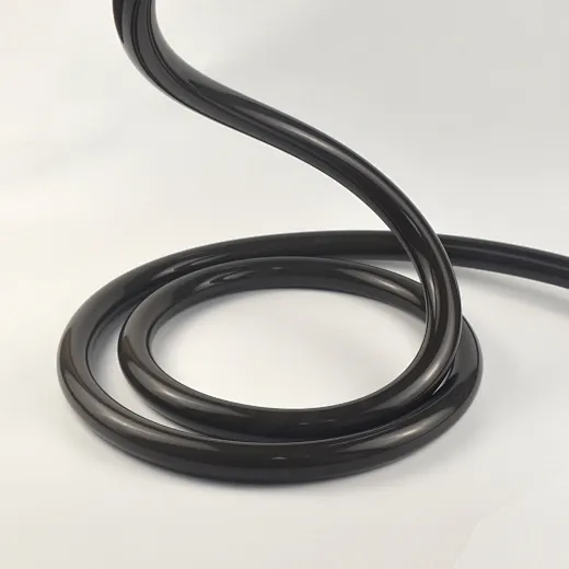 round black neon flex 24V
