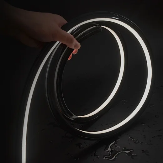 black led neonflex 12v