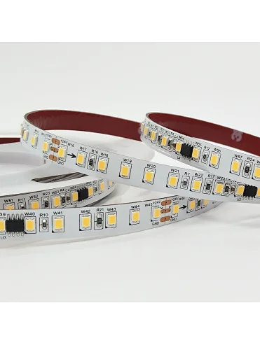 WS2811/SM16703/UCS1903 24V 120leds/m Chasing led strip