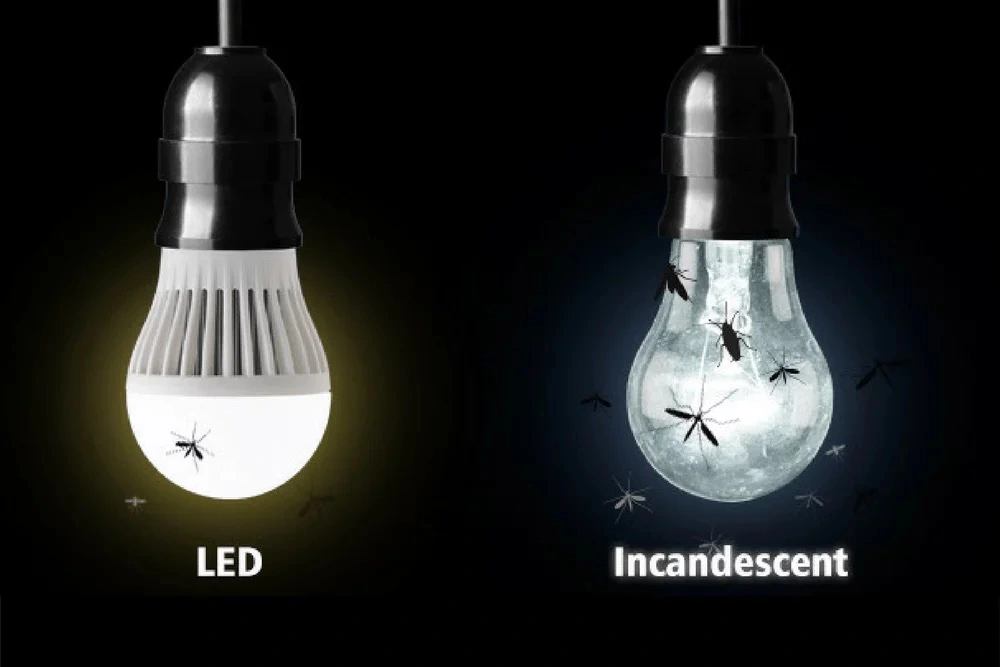 ¿Las luces LED atraen insectos?