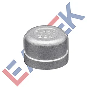 Stainless Steel Round Cap F