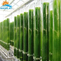 Naxilai Acrylic Tube For Algae Cultivation