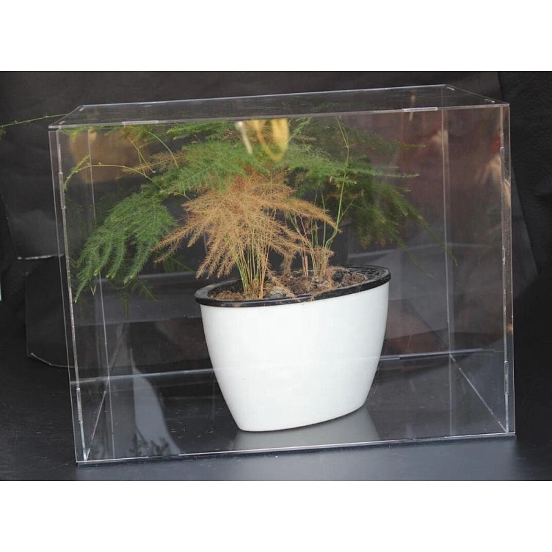 Naxilai high transparent manufacturer acrylic display box