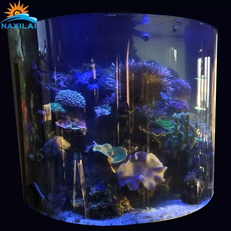 Acrylic aquariums
