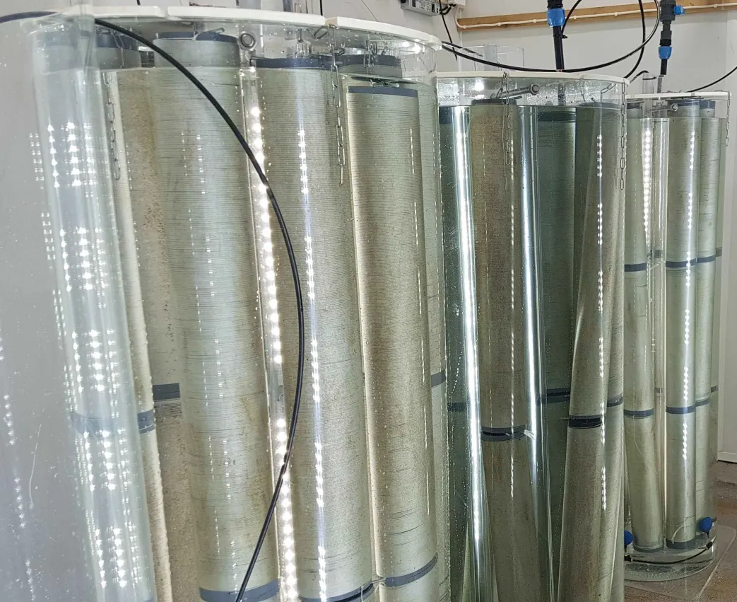 Algae culture bioreactors
