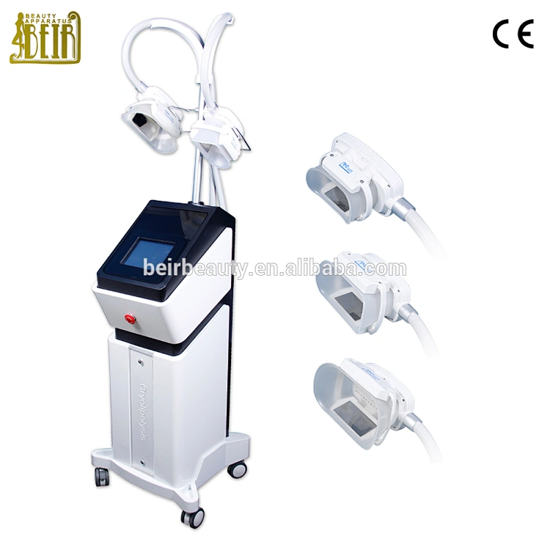 4 cryo handles coolipo fat freeze criolipolisis slimming machine brg50