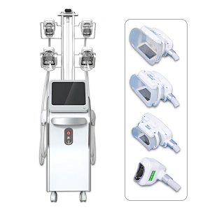 4 Air pump 100Kpa 5 cryo head criolipolisis cellulite removal cryotherapy facial equipment CTL80-5S