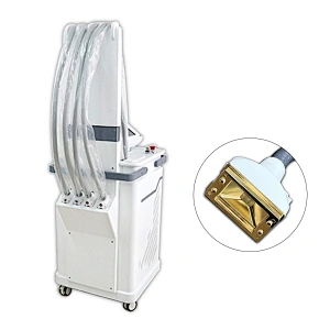 LSW139 Fast no hurting skin 1 treatment per 2 weeks fat burner 1060nm diode laser machine