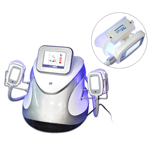 Beir new design Portable 4 cryo heads Kryolipolyse cryolipolysys Cryotherapy Machine with Antifreeze membranes
