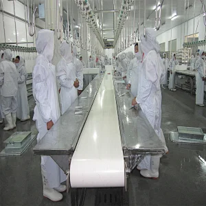 European standard new automatic poultry slaughtering packing area belt conveyor line
