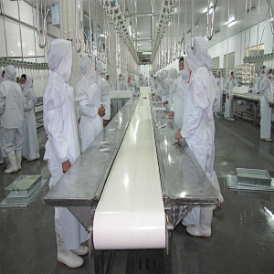 European standard new automatic poultry slaughtering packing area belt conveyor line