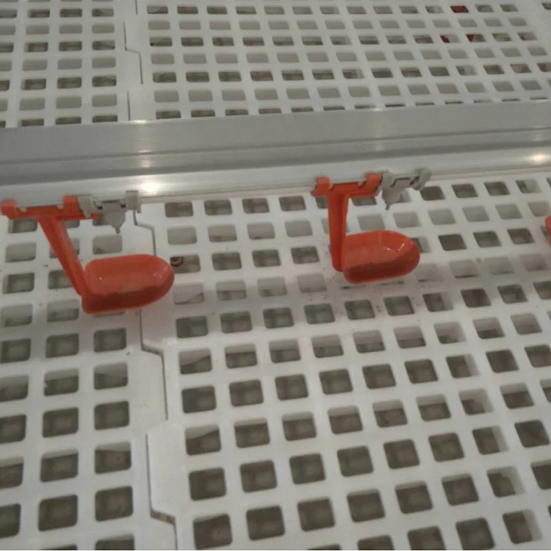 Chicken house Plastic slat floor for Poultry farm breeder feeding