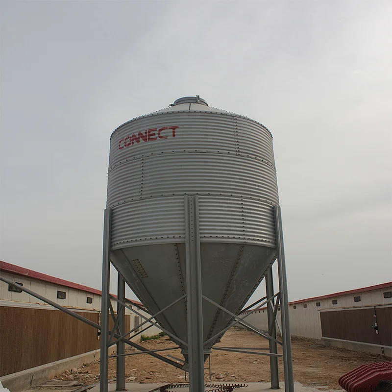 feed storage and conveyor system Hot dip galvanized steel chicken broiler farm feed silo equipment for sale