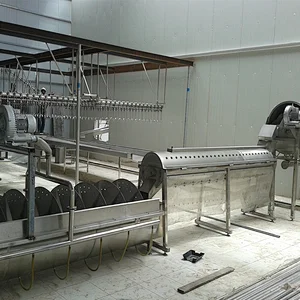 customerilized new full stainless steel 304 semi-automatic halal slaughter house gizzard processing line equipment