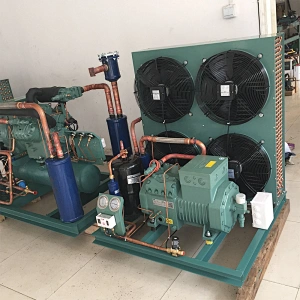 Techumse Compressor Box Type Refrigeration Condensing Units For Cold Storage room use
