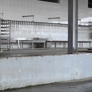 chicken birds slaughterhouse butchery automatic crate rolling type conveyor equipment