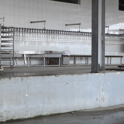 chicken birds slaughterhouse butchery automatic crate rolling type conveyor equipment