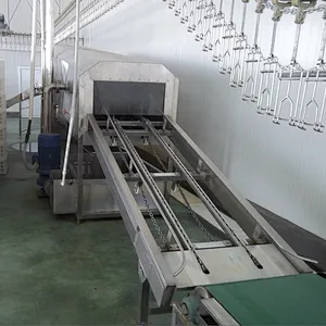 Crates Chain conveyor for Birds receiving slaughter house machine