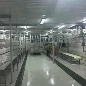 Overhead line for poultry processing plant