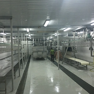 Overhead line for poultry processing plant