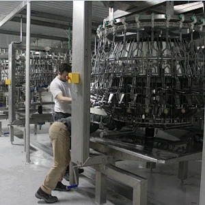 Auto eviscerator equipment for chicken slaughterhouse