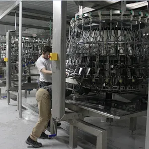 Auto eviscerator equipment for chicken slaughterhouse