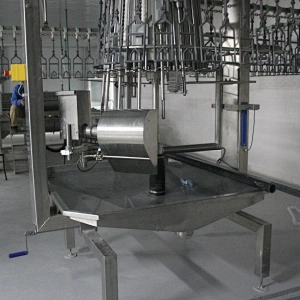 Auto Eviscerator Processing equipments Poultry Cropping equipment