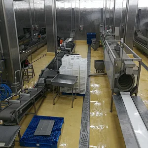 Chinese brand poultry meat plucking machines processing plant