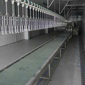 2019 Small Chicken Slaughtering scalding Defeathering Quail Poultry Processing Plant crate belt conveyor Machine