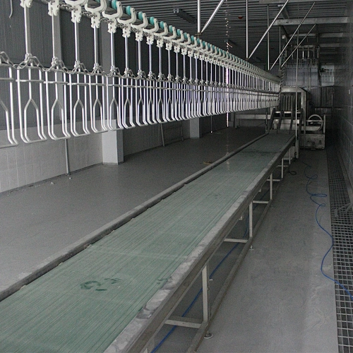 2019 Small Chicken Slaughtering scalding Defeathering Quail Poultry Processing Plant crate belt conveyor Machine
