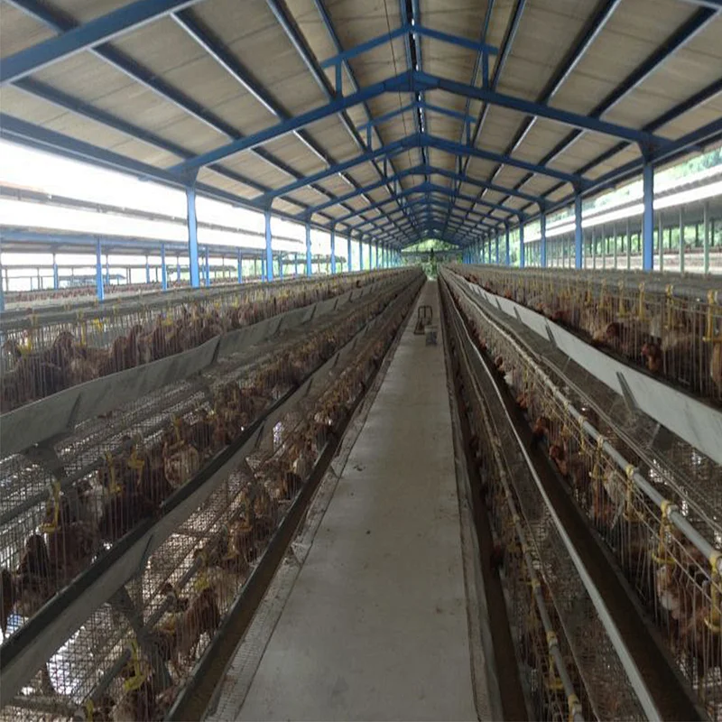 Poultry Farmconstruction Automatic Battery Chicken Layer Cages for pullets raising