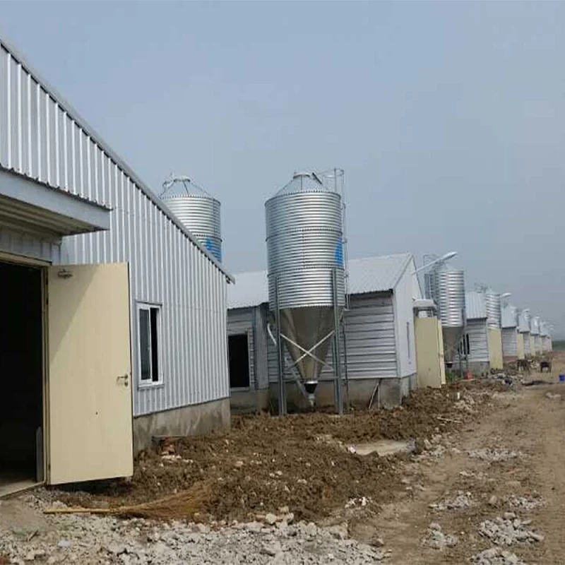 feed storage and conveyor system Hot dip galvanized steel chicken broiler farm feed silo equipment for sale