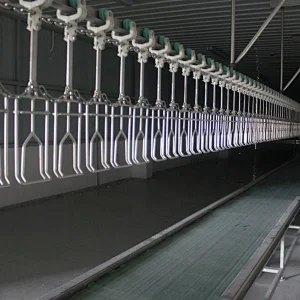 Brand new poultry processing plant crate belt conveyor machinery with low price high depilation used poultry equipment for sale