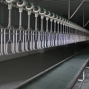 Brand new poultry processing plant crate belt conveyor machinery with low price high depilation used poultry equipment for sale