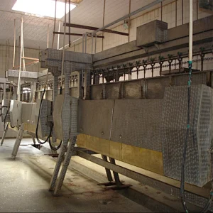 slaughterhouse rough feather de-hair plucker processing line